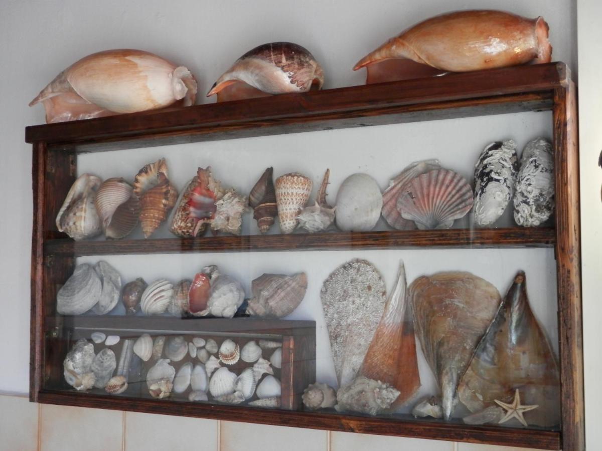 B&B Attico Mare San Benedetto del Tronto Luaran gambar
