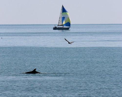 B&B Attico Mare San Benedetto del Tronto Luaran gambar